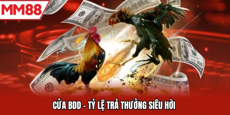 Cửa BDD - Tỷ lệ trả thưởng siêu hời 