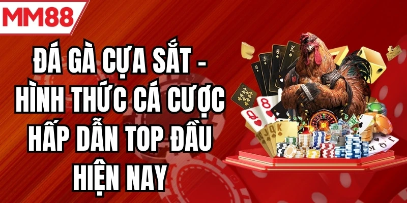 đá gà cựa sắt