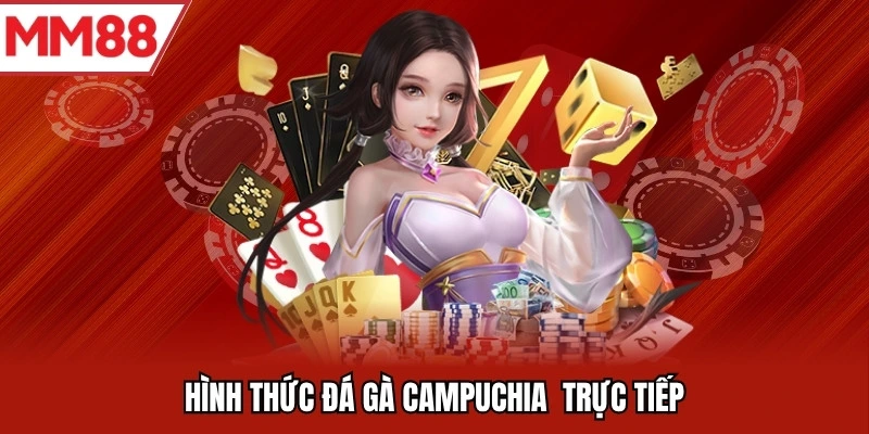 Hình thức đá gà Campuchia trực tiếp