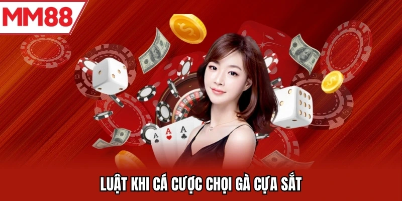 Luật khi cá cược chọi gà cựa sắt
