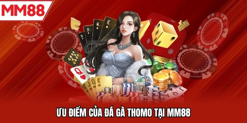 Ưu điểm của đá gà thomo tại MM88